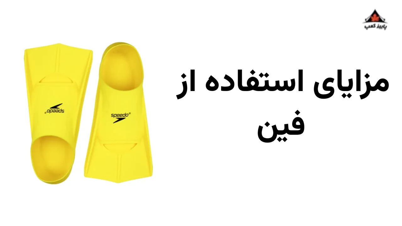 مزایای استفاده از فین شنا؛ چرا شنا کردن با فین به بهبود عملکرد شما کمک می‌کند؟